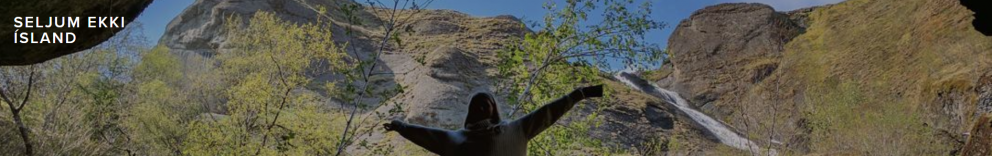 SELJUM EKKI ÍSLAND!