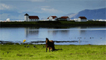 Sjálfstæðisflokkurinn, Morgunblaðið, forsetaembættið og framtíð þess