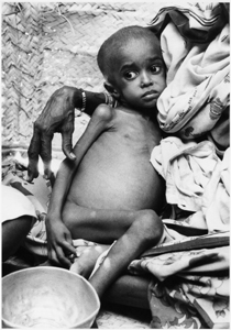 Gerum 9/11 að alþjóðlegum minningardegi