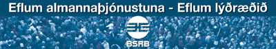 ÞING BSRB Í VIKUNNI