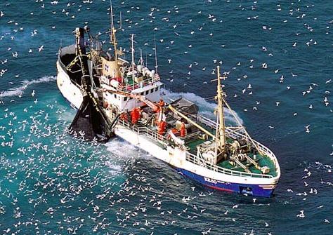 FISKVEIÐISTJÓRNUNARKERFIÐ: UPPSTOKKUNAR ÞÖRF