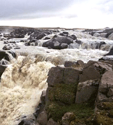 TÍMI TIL AÐ STALDRA VIÐ