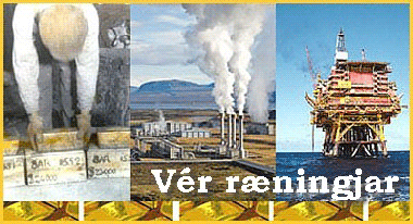ÞJÓFNAÐUR ALDARINNAR