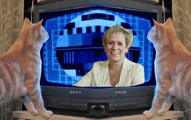 ÞRÍR SKOÐANAHÓPAR UM EFTIRLAUNALÖGIN