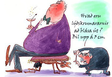 ER BOÐLEGT AÐ SKATTGREIÐENDUR REKI EINKABÍLA FYRIR FORSTJÓRA?