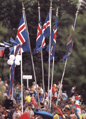NÝJA ÍSLAND: ÞINGS OG ÞJÓÐAR AÐ  ÁKVEÐA - FRAMKVÆMDAVALDS AÐ FRAMKVÆMA