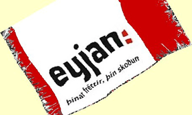 FJÖLMIÐLARNIR HAFA STAÐIÐ SIG VEL - FLESTIR