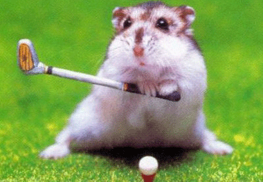 ÞUNGU HÖGGIN REYNDUST VINDHÖGG