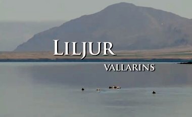 Liljur vallarins
