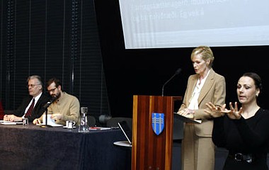 Lýðræðisráðstefna - mynd