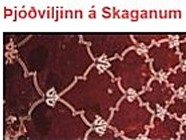 ÞV á SKAGA