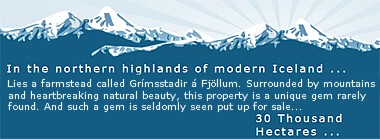 Grímstaðir á sölusíðunni