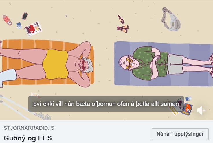 FARA SKATTARNIR MÍNIR Í ÞENNAN ÁRÓÐUR?