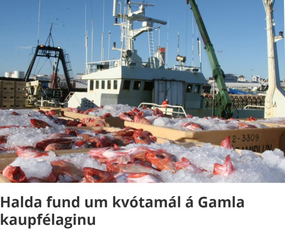 SKESSUHORN GREINIR FRÁ KVÓTAFUNDI