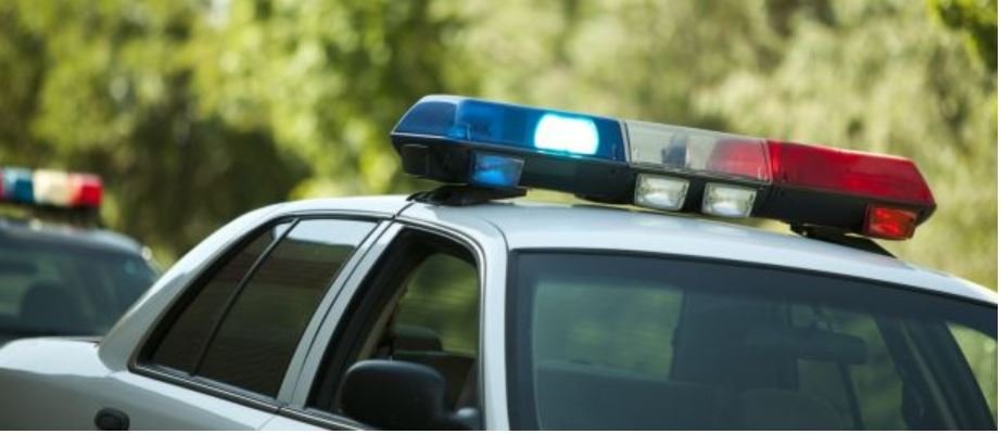 HINIR HÓGVÆRU OG MAÐURINN SEM ÞURFTI AÐ VERJA