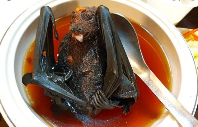 DAGBÓKARÞANKAR TIL (ANDLEGRAR) MELTINGAR