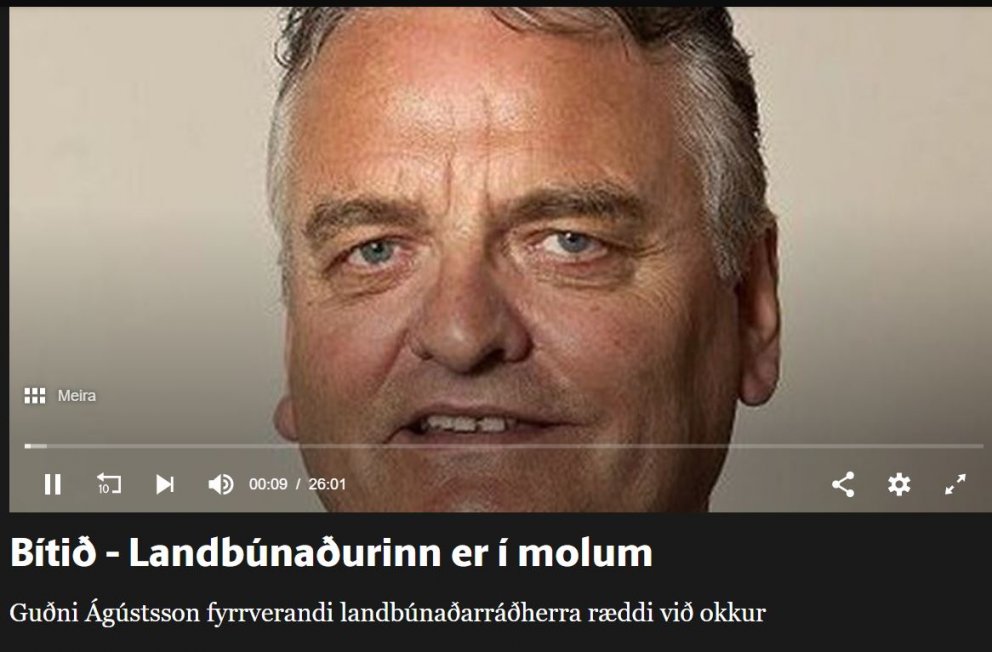 GUÐNI VERÐI Á NÆSTA FUNDI RÍKISSTJÓRNARINNAR