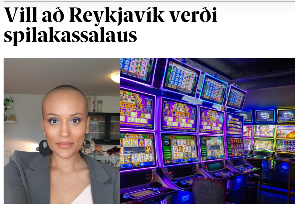 TIL FYRIRMYNDAR: EN HVAÐ GERA ÖNNUR FRAMBOÐ?