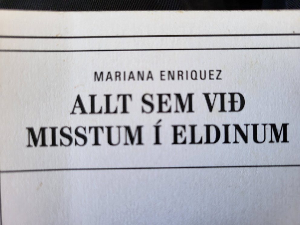 ALLT SEM VIÐ MISSTUM Í ELDINUM