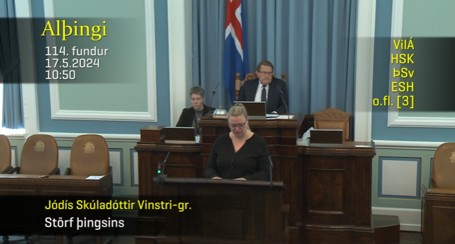 VAKTI ATHYGLI Á MANNRÉTTINDABROTUM Í TYRKLANDI