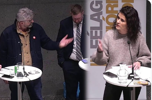 ALÞINGI STUDDI VISSULEGA VOPNAKAUPIN ÞÓRDÍS – EN ÞJÓÐIN VAR Á MÓTI