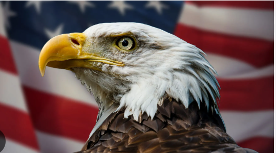 HVERNIG SKIPTA SKULI RÁNSFENG Á KOSTNAÐ ÞJÓÐAR