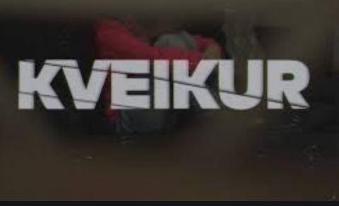 KVEIKUR OG WIKILEAKS JARÐA KVÓTAKERFIÐ