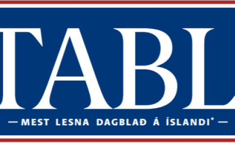 HERFLUGVÉLAR YFIR ÍSLANDI