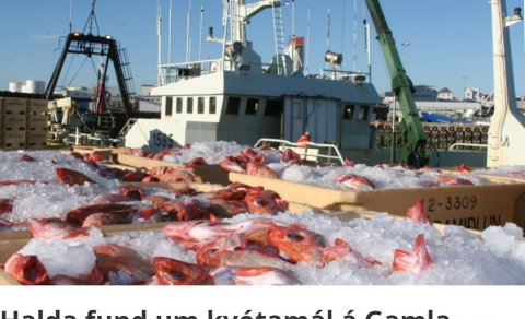 SKESSUHORN GREINIR FRÁ KVÓTAFUNDI