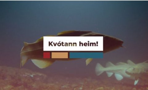 MAKRÍLL, MILLJARÐAR OG HNEYKSLAN EN HVAÐ SVO?