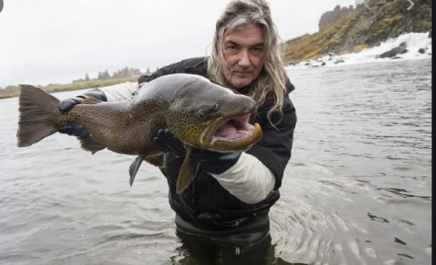 JÓHANNES STURLAUGSSON, LÍFFRÆÐINGUR, VILL STEFNUMÓTUN Í ANDA VANDAÐRAR VISTFRÆÐI
