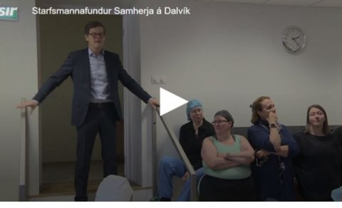 FORMGALLAR OG FRELSARAR
