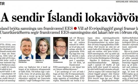 ÞAÐ SEM ÉG NÚ SKIL – OG ÞAÐ SEM ÉG NÚ SKIL EKKI