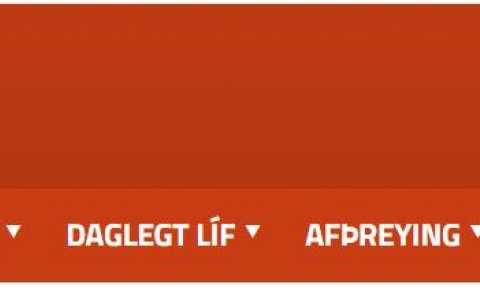 UM ALDURINN OG ÁRIN