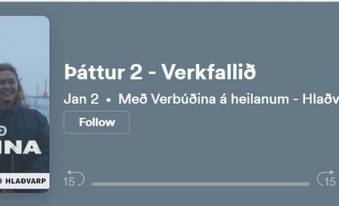 VERBÚÐIN OG VERKFALL BSRB 1984