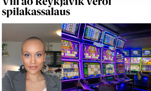TIL FYRIRMYNDAR: EN HVAÐ GERA ÖNNUR FRAMBOÐ?