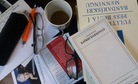 KJÖRBÚÐARKONAN: HEIMSPEKILEG HROLLVEKJA