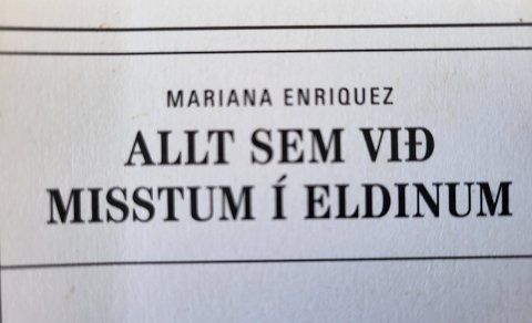 ALLT SEM VIÐ MISSTUM Í ELDINUM