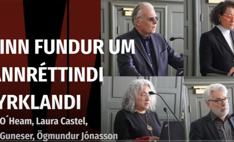 SAMSTÖÐIN BIRTIR MYNDBAND AF FUNDINUM UM MANNRÉTTINDI Í TYRKLANDI