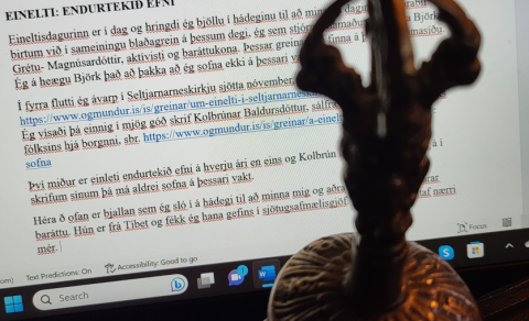 EINELTI:ENDURTEKIÐ EFNI