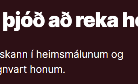 VIÐ RAUÐA BORÐIÐ Á SAMSTÖÐINNI: ALÞJÓÐAMÁL ERU INNANRÍKISMÁL