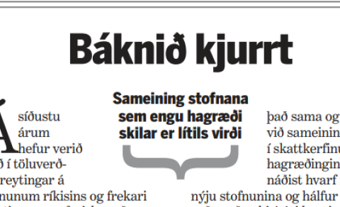 HVAÐ ER NEIKVÆÐ STÆRÐARHAGKVÆMNI?