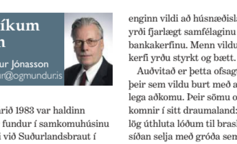 Í HVAÐA VASA VILTU BORGA?