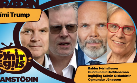SAMMÁLA UM SUMT, ÓSAMMÁLA UM MARGT OG VAR ÞÓ ENN MARGT ÓSAGT
