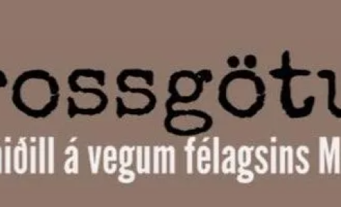 HVERNIG VÆRI AÐ HLUSTA Á ÞÁ SEM ENGUM HÓTA?