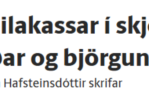 ÞAKKIR TIL FORMANNS SAMTAKA ÁHUGAFÓLKS UM SPILAFÍKN