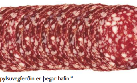 HVERNIG MAÐUR BORÐAR SPÆGIPYLSU