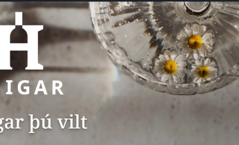 LÖGBROT Í BOÐI LÍFEYRISSJÓÐA LANDSMANNA