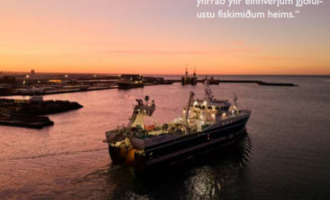 ÁRVEKNI Í STAÐ ANDVARALEYSIS
